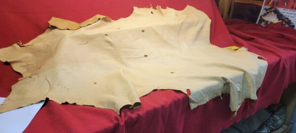 Tanned animal hide on red cloth display.