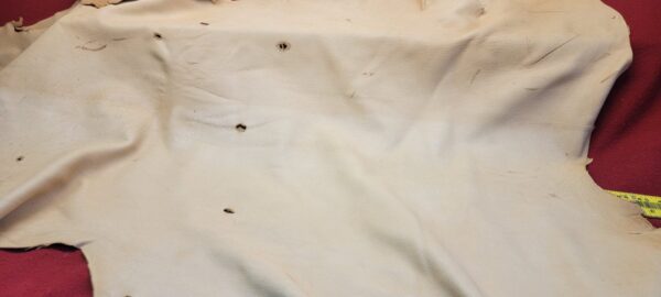 Tanned leather hide with small holes.