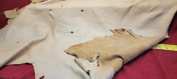 Torn leather hide on red background.