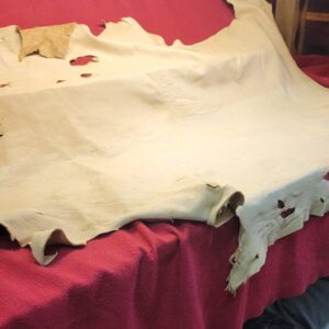 Leather hide on a red fabric surface.