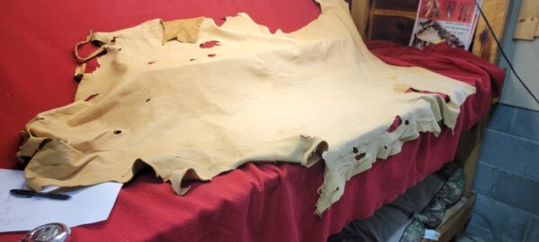 Leather hide on a red fabric surface.
