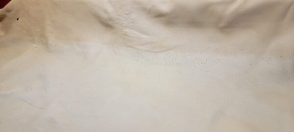 White sheet with slight wrinkles and spots.