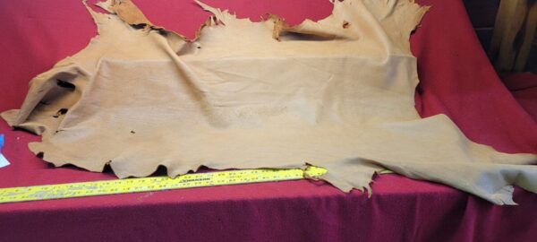 Tan leather hide with a measuring tape.