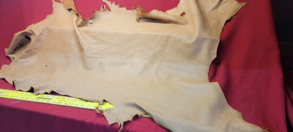 Leather hide on a red surface.