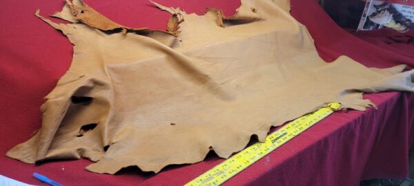 Leather hide on red fabric with ruler.