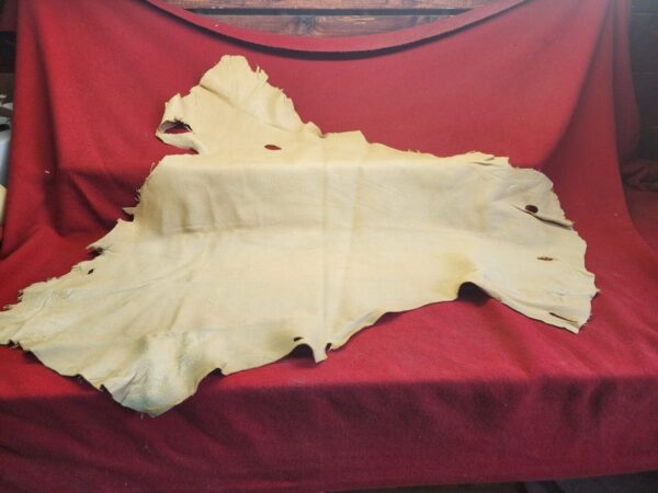 Tanned leather hide on red fabric background.