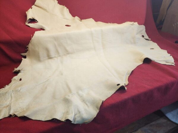 Raw animal hide on red fabric background.