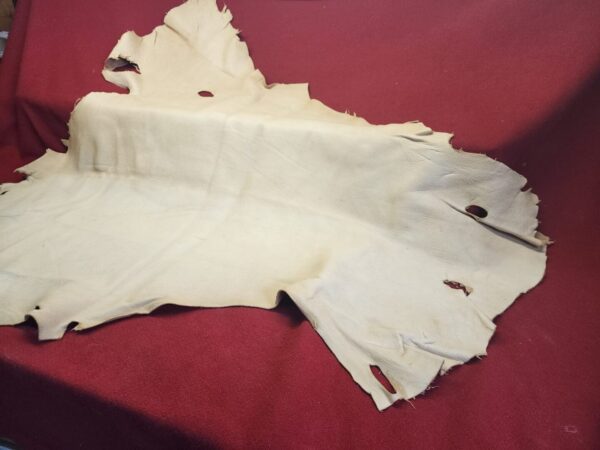 Tanned leather hide on red surface.
