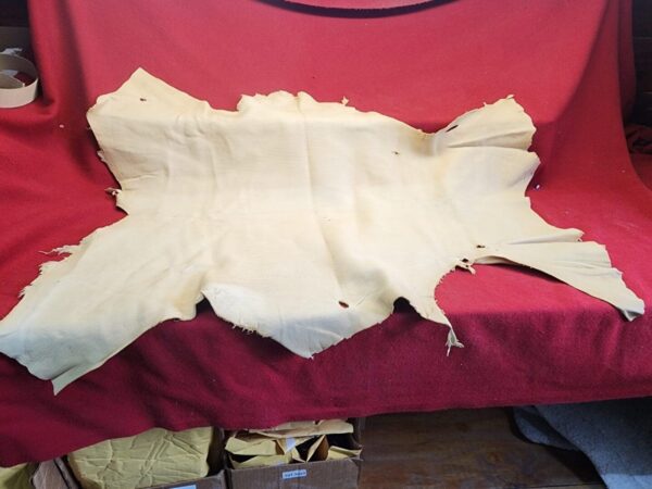 Tanned leather hide on red fabric background.