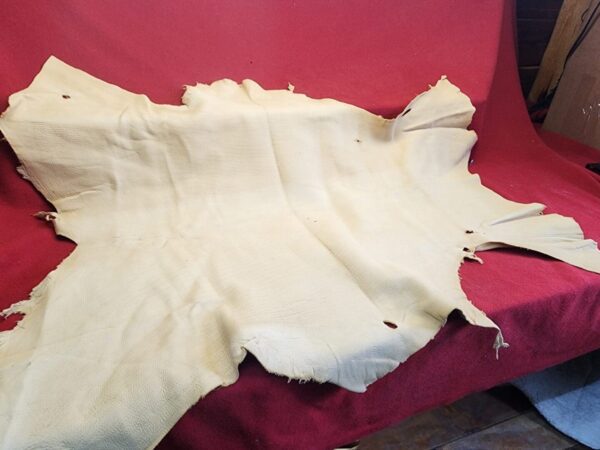 Tanned animal hide on red fabric background.