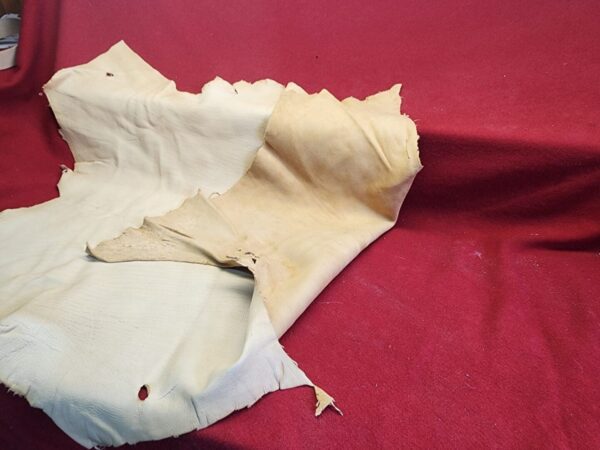 Animal hide on red fabric background.