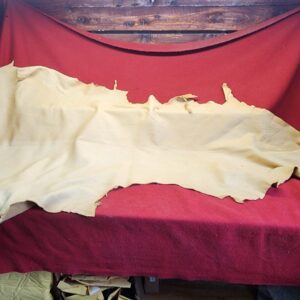 20231221_143830 Leather hide on a red cloth background.