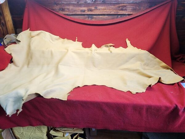 20231221_143830 Leather hide on a red cloth background.