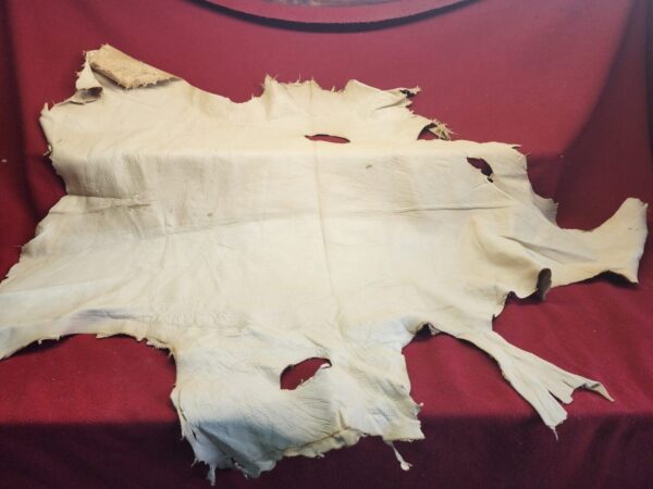 20231221_143955 Rawhide on a red cloth background.