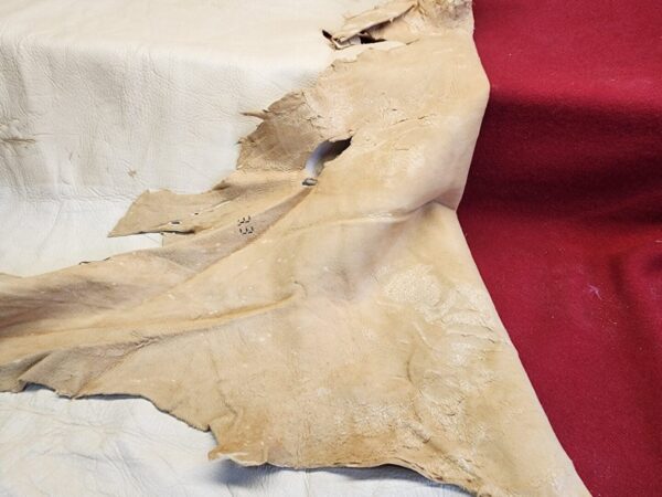 20231221_144008 Tanned animal hide on red and white fabric.