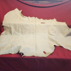 20231221_144153 Tanned animal hide on red fabric background.