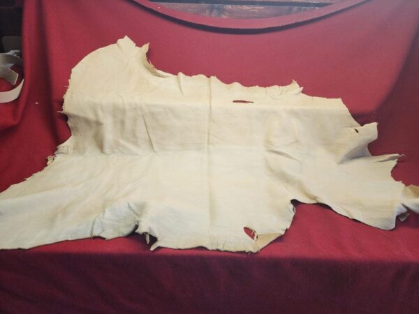 20231221_144153 Tanned animal hide on red fabric background.