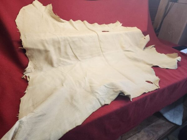 20231221_144156 Large piece of beige leather on fabric.