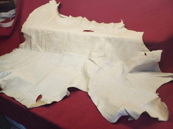 20231221_144200 Tanned leather hide on red cloth background.