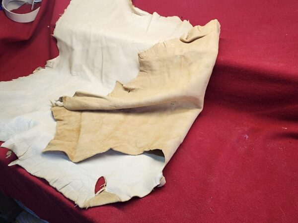 20231221_144203 Tanned leather hide on red surface.