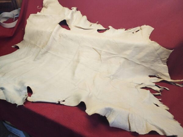 Tanned leather hide on red surface.
