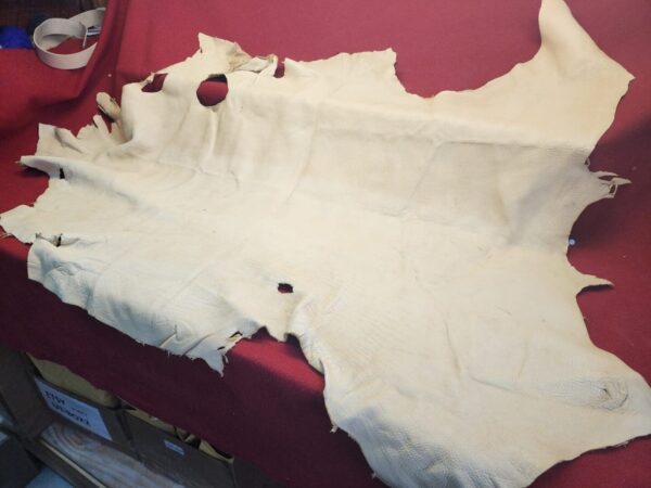 Tanned animal hide on a red surface.