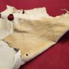 Tanned animal hide on red surface.