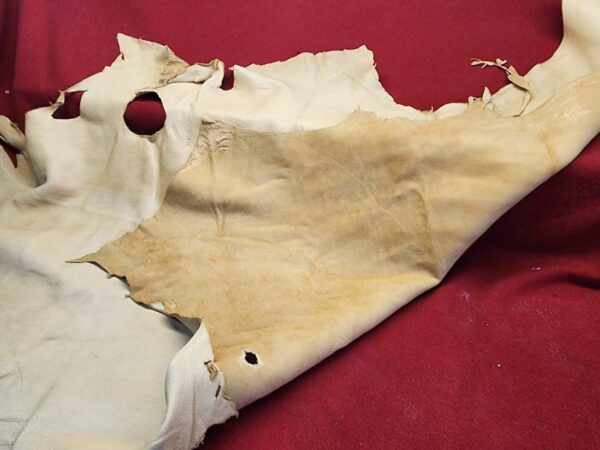Tanned animal hide on red surface.