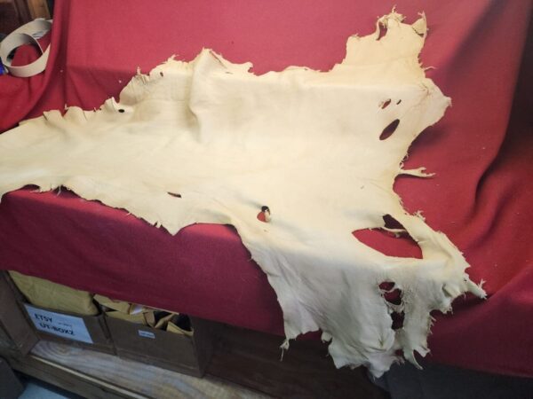 Tanned leather hide on red fabric background.