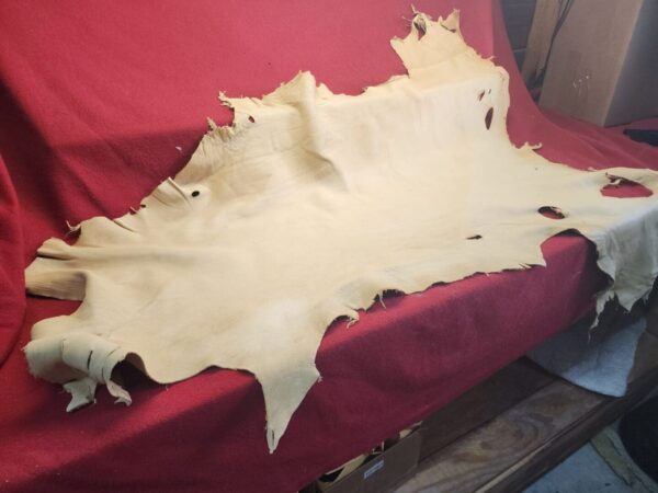 Animal hide draped over red fabric.