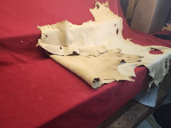 Tanned leather hide on red surface.