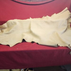 20231221_164320 Leather hide on a red fabric background.