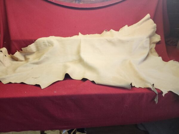 Leather hide on a red fabric background.