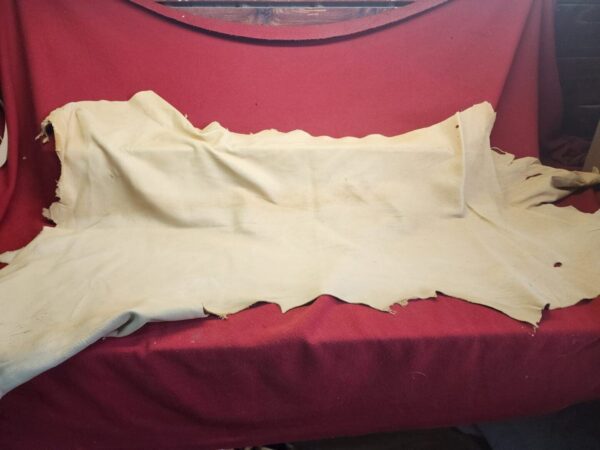 Beige hide draped over red fabric.