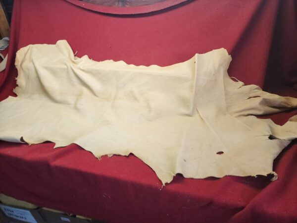 Beige leather hide on red fabric display.