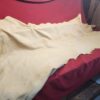Tanned animal hide on red surface.