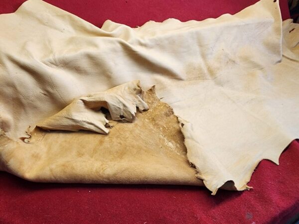 Piece of tanned leather on red surface.