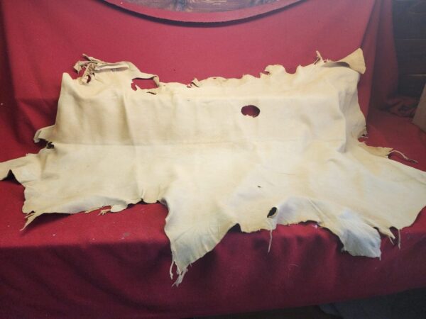 Tanned animal hide on red cloth background.