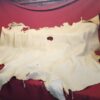 Animal hide on a red fabric backdrop.