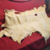 Tanned animal hide on red fabric surface.