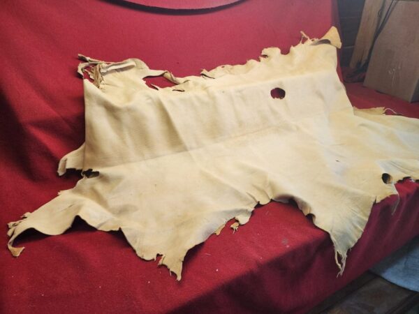 Tanned animal hide on red fabric surface.