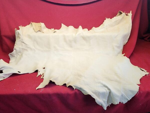 Tanned leather hide on red fabric background.