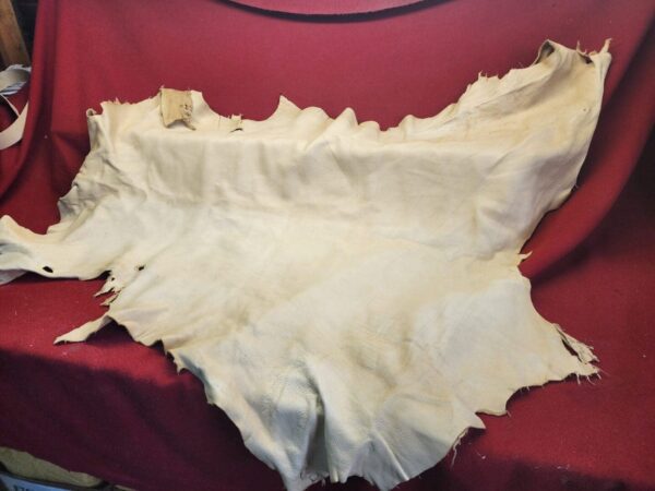 Tanned leather hide on red fabric background.