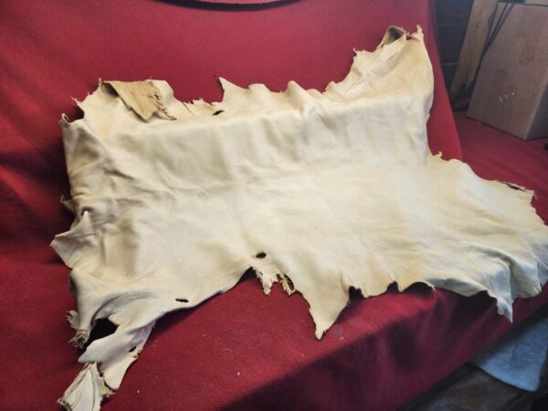 Tanned leather hide on red fabric background.