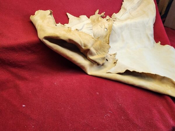 Tanned leather piece on red fabric.