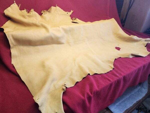 Tanned leather hide on red fabric background.