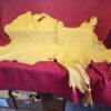 Yellow leather hide on red fabric background.