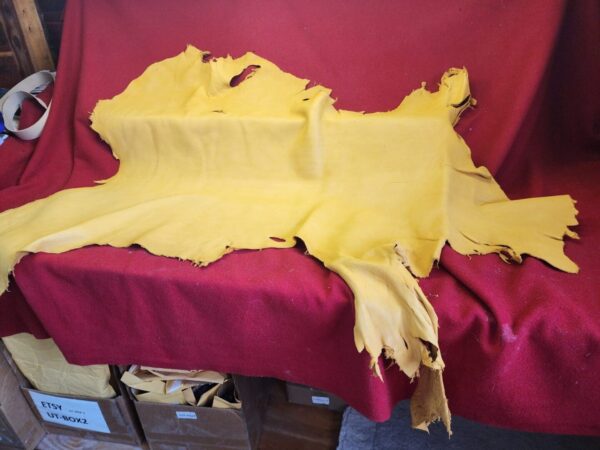 Yellow leather hide on red fabric background.