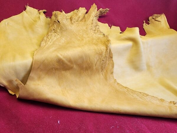 Yellow leather hide on red surface.