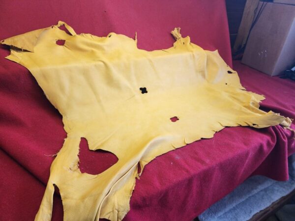 Yellow animal hide on red fabric background.